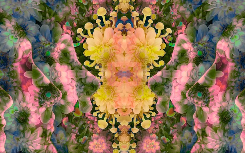 A Guide to Holding Space: Trip-Sitting with Compassion & Intention