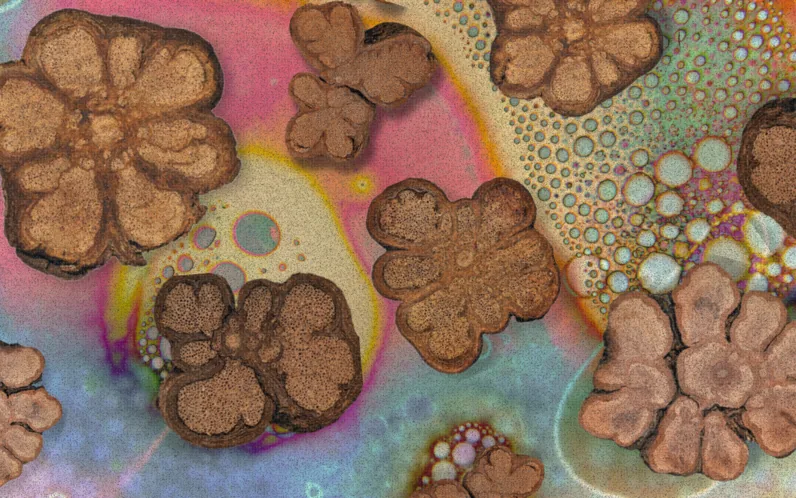 Ayahuasca Retreats: How We've Helped Our Callers Integrate