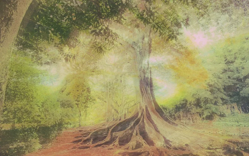 Healing Within Family Dynamics