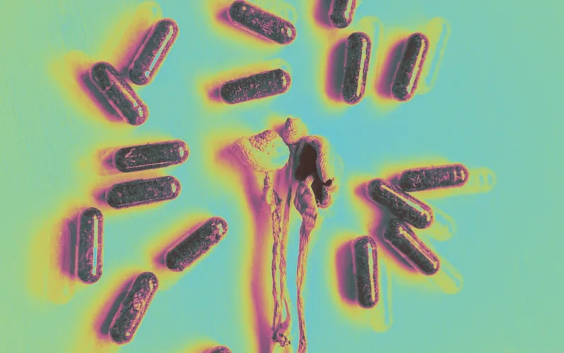 Is Microdosing Placebo, and Does That Matter?