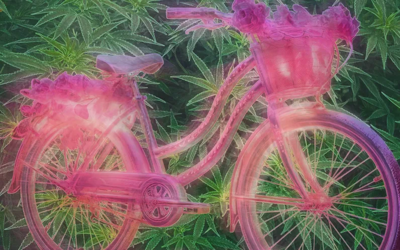 The Psychedelic High Holidays: Bicycle Day, 4/20, and 9/20