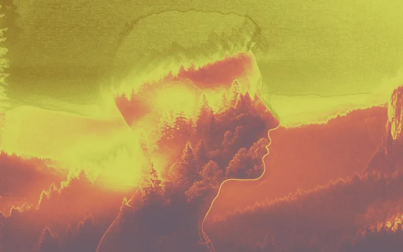 Why Set & Setting Matter in Psychedelic Experiences
