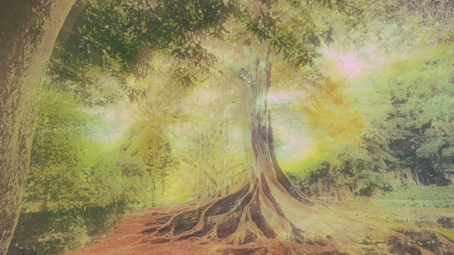 Healing Within Family Dynamics