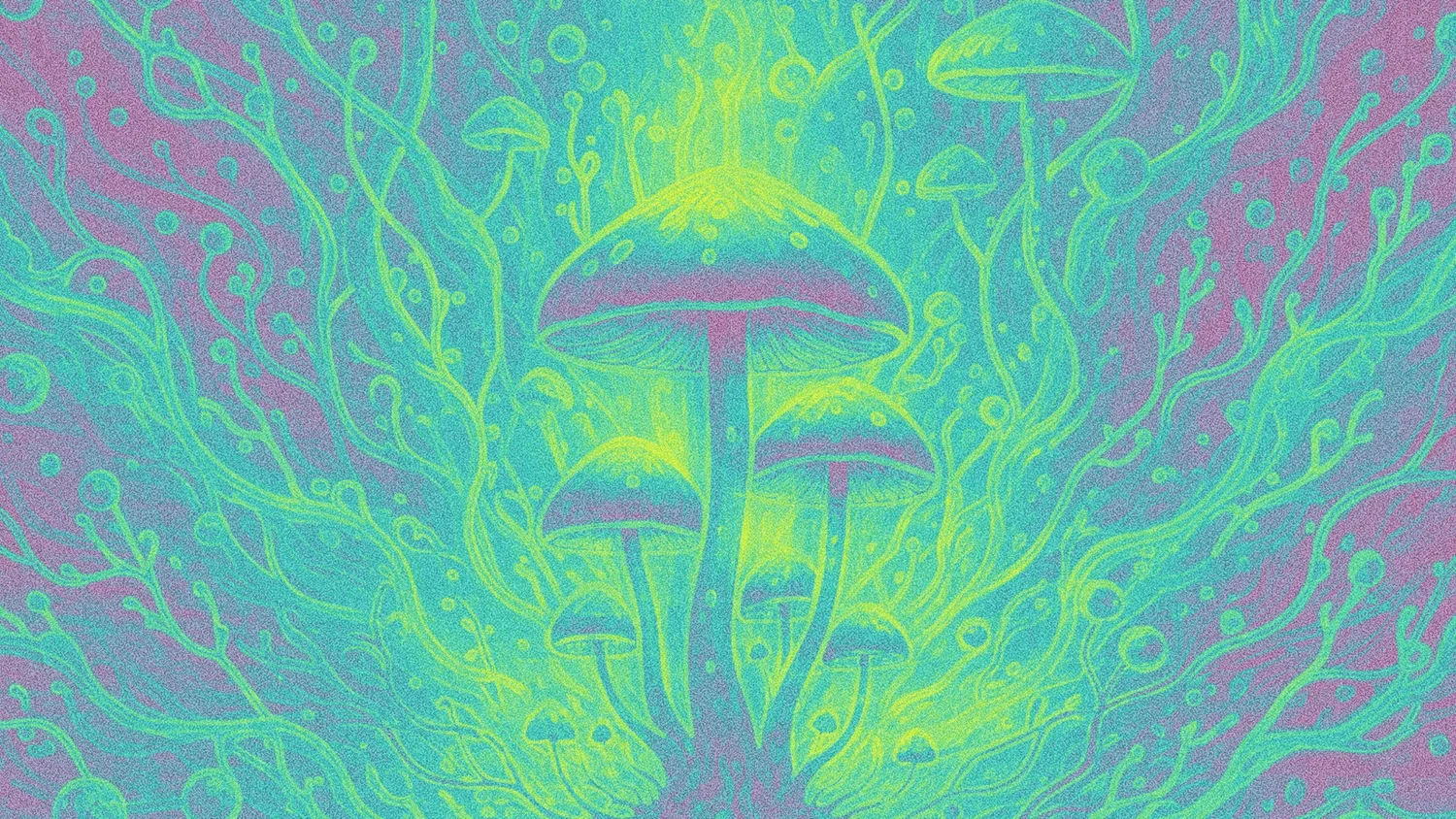 Microdosing: What We're Hearing on the Fireside Support Line