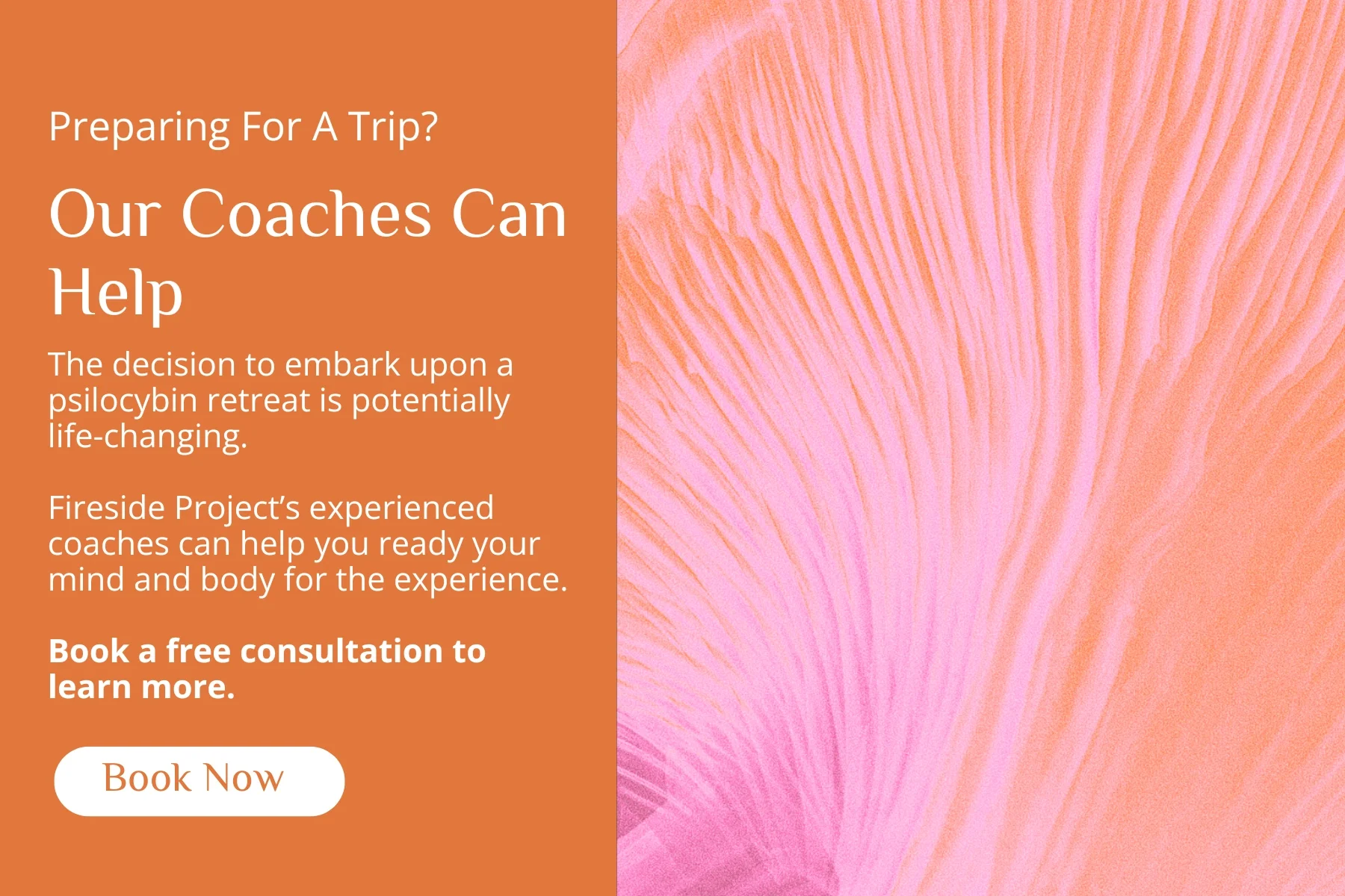 Explore Fireside coaching