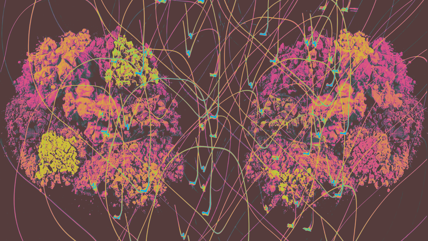 Psychedelics & Neuroplasticity: Unlocking the Healing Brain
