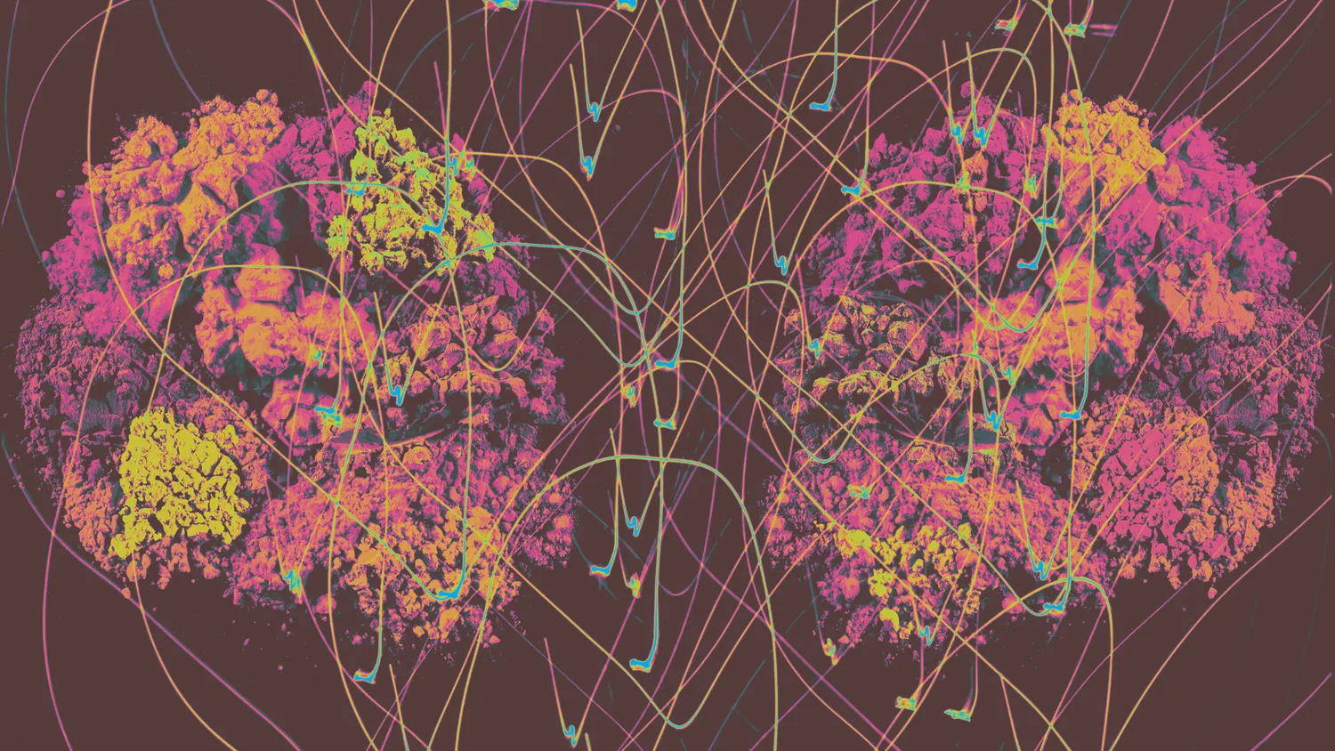 Psychedelics & Neuroplasticity: Unlocking the Healing Brain