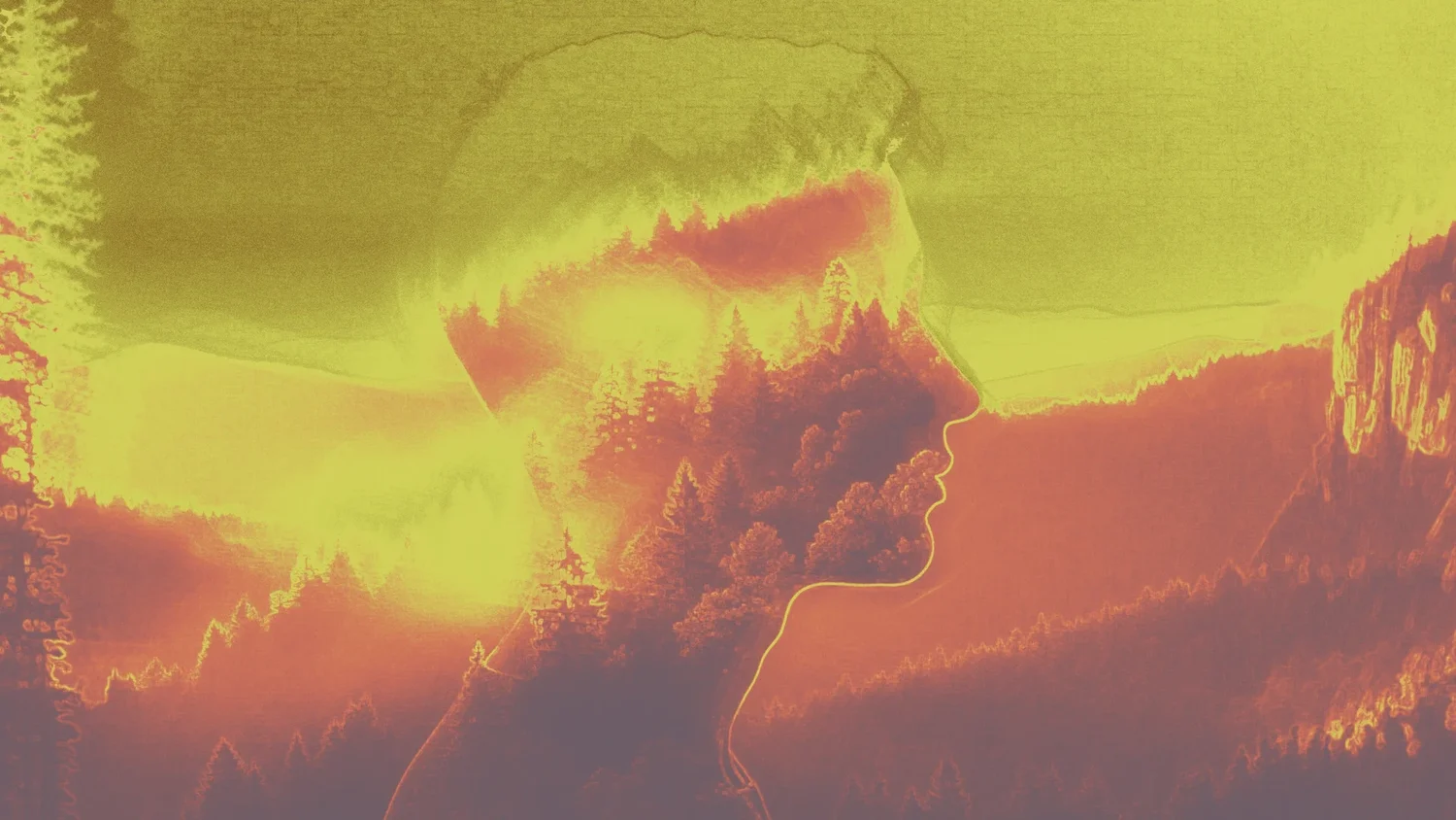 Why Set & Setting Matter in Psychedelic Experiences